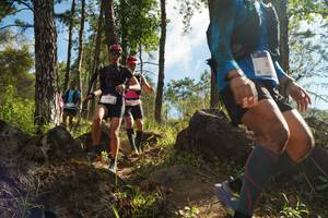 BIB: 347
                            <button type="button" onclick="openModal(18915819)" class="btn btn-primary btn-sm float-right btn-popup" data-toggle="modal" data-target=".modal-high-quality">
                        <i class="fas fa-shopping-cart"></i> Add to Cart
                    </button>
                                            <button type="button" onclick="isThisMe(18915819, true)" class="btn btn-success btn-sm float-right btn-popup btn-isme hidden" data-toggle="tooltip" data-placement="bottom" title="นี่คือรูปของคุณใช่ไหม คลิกที่นี่เพื่อเอาเข้าอัลบั้ม">
                        <i class="fas fa-plus"></i> Add to album
                    </button>
                    <button type="button" onclick="isThisMe(18915819, false)" class="btn btn-warning btn-sm float-right btn-popup btn-isnotme hidden">
                        <i class="fas fa-ban"></i> Remove from album
                    </button>